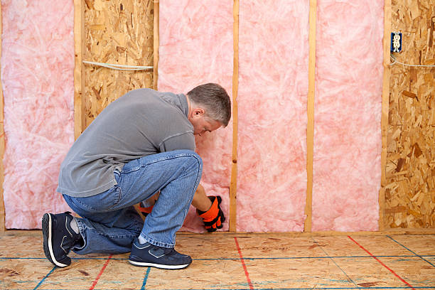 Best Insulation for Specific Applications in San Luis Obispo, CA